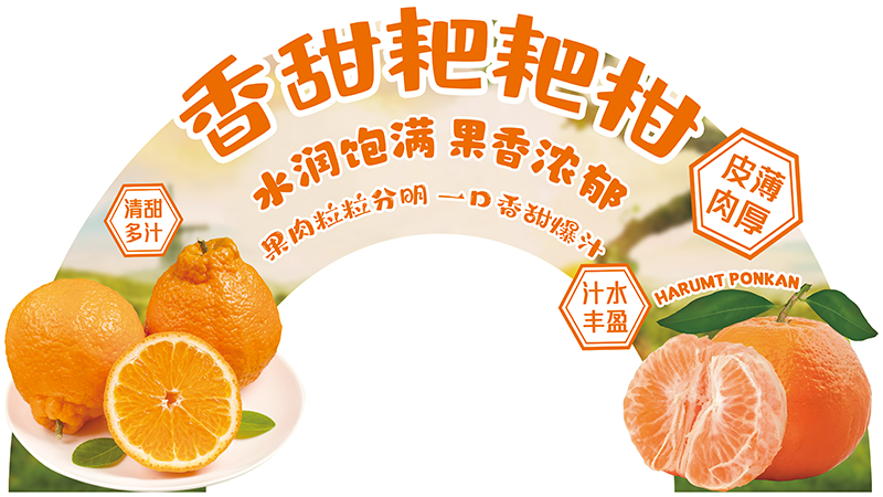 展板