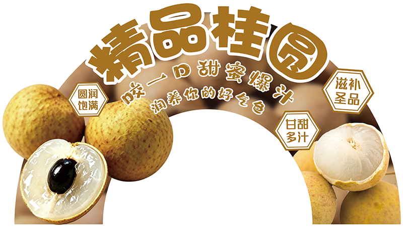 展板