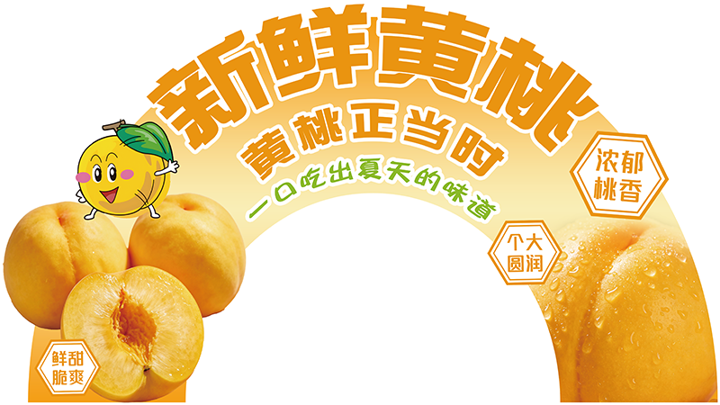 展板