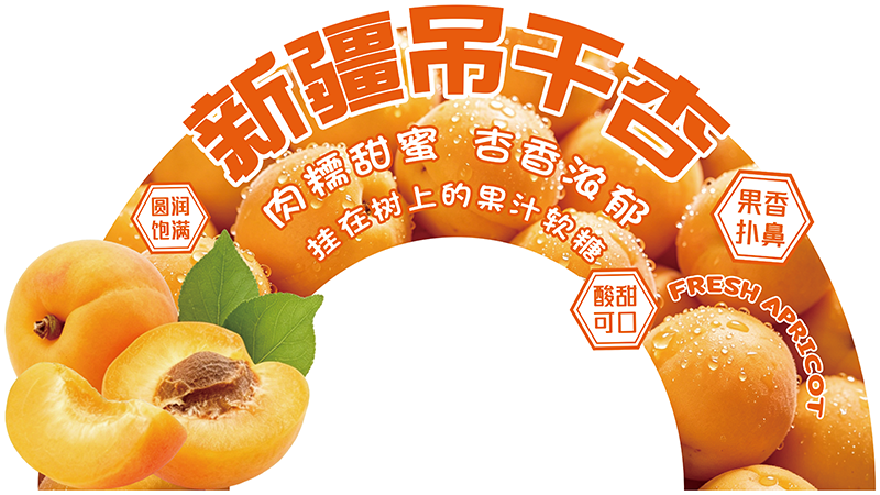 展板