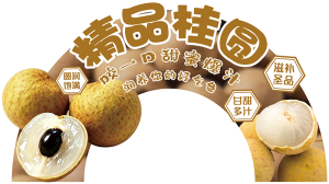 展板