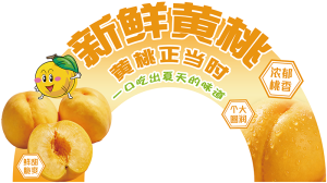 展板