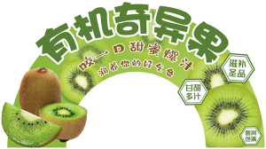 展板